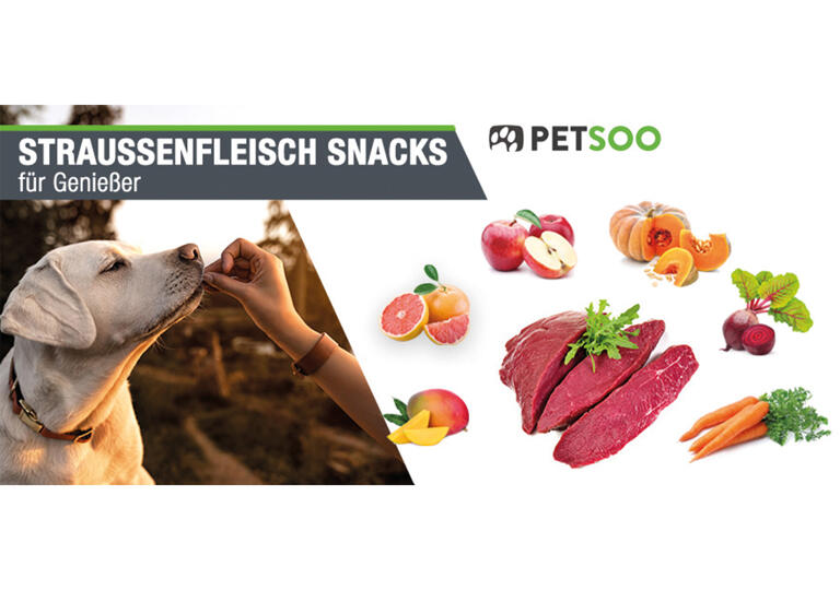 Petsoo - Für unsere besten Freunde Bredstedt
