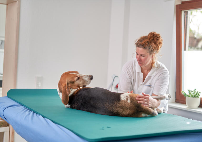 Tierphysio Monheim Monheim am Rhein