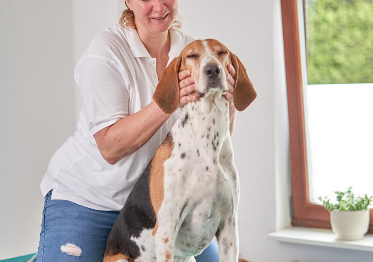 Tierphysio Monheim Monheim am Rhein