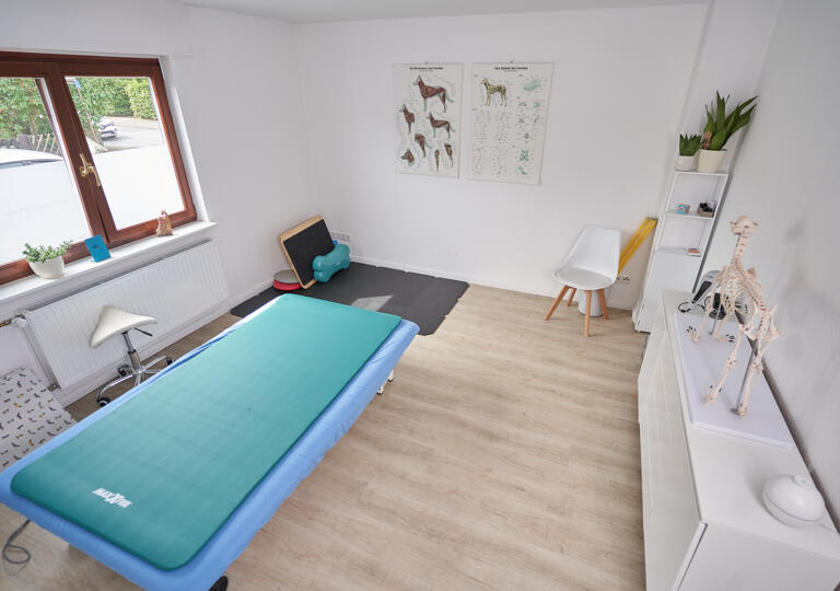 Tierphysio Monheim Monheim am Rhein