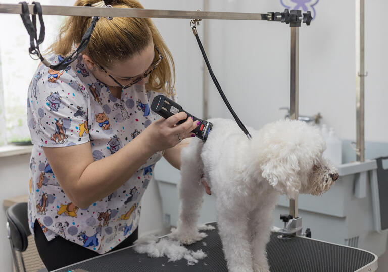 Hundesalon Dino Murrhardt
