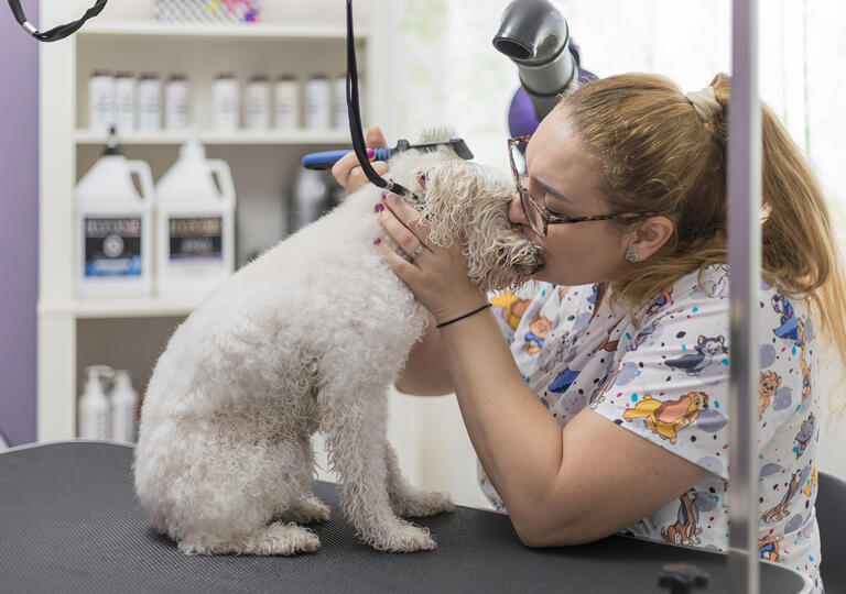 Hundesalon Dino Murrhardt