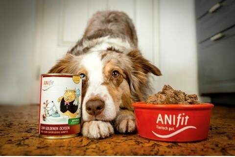 LuKaSsIcA - Jessica Littwinski Monheim