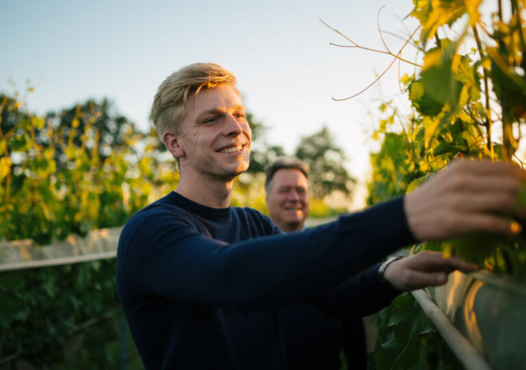 Weingut Osterloh Visbek