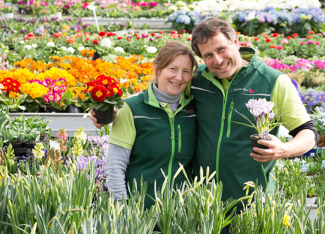 Blumen Eber Gundelfingen Birkenried