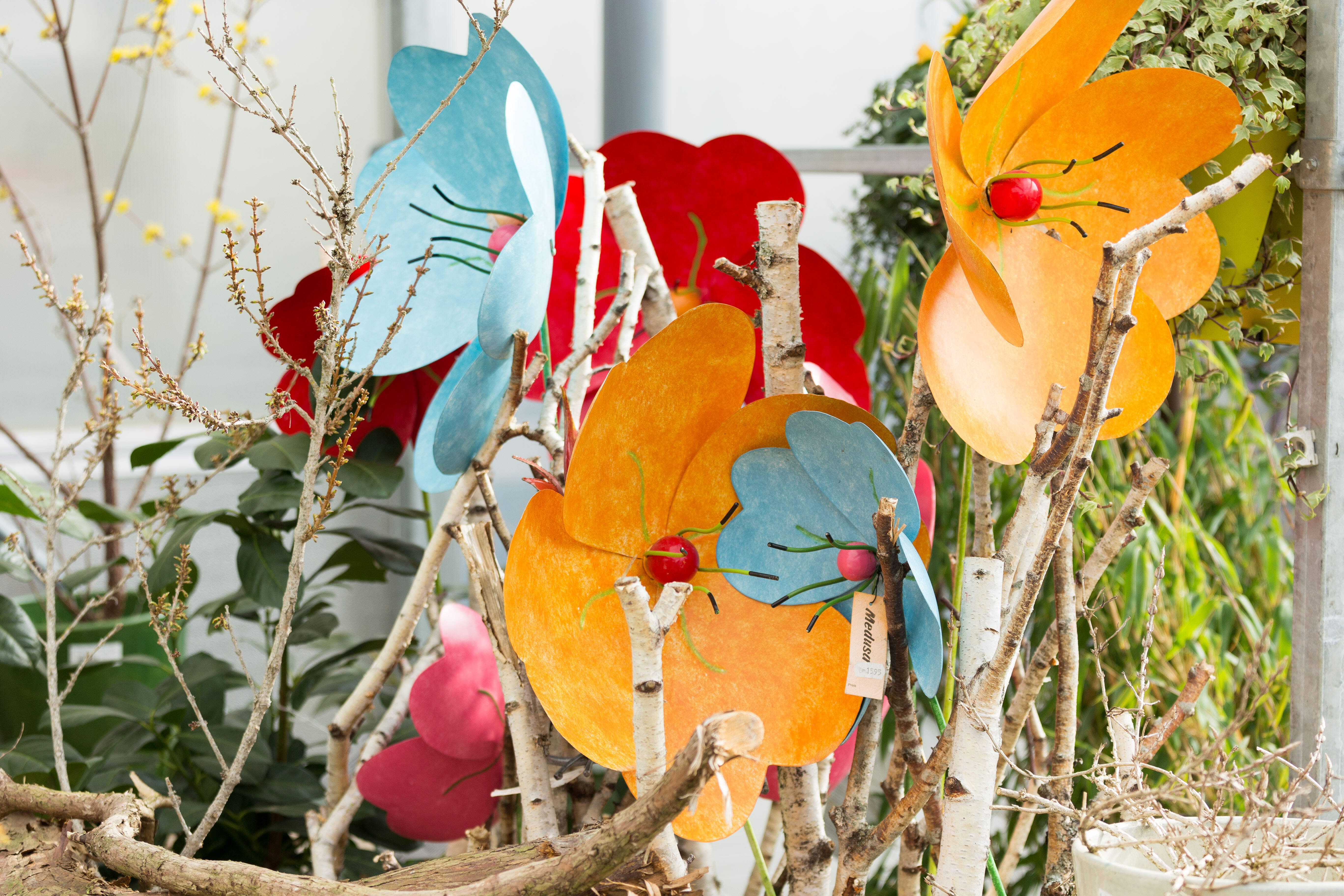 Blumen Eber Gundelfingen Birkenried
