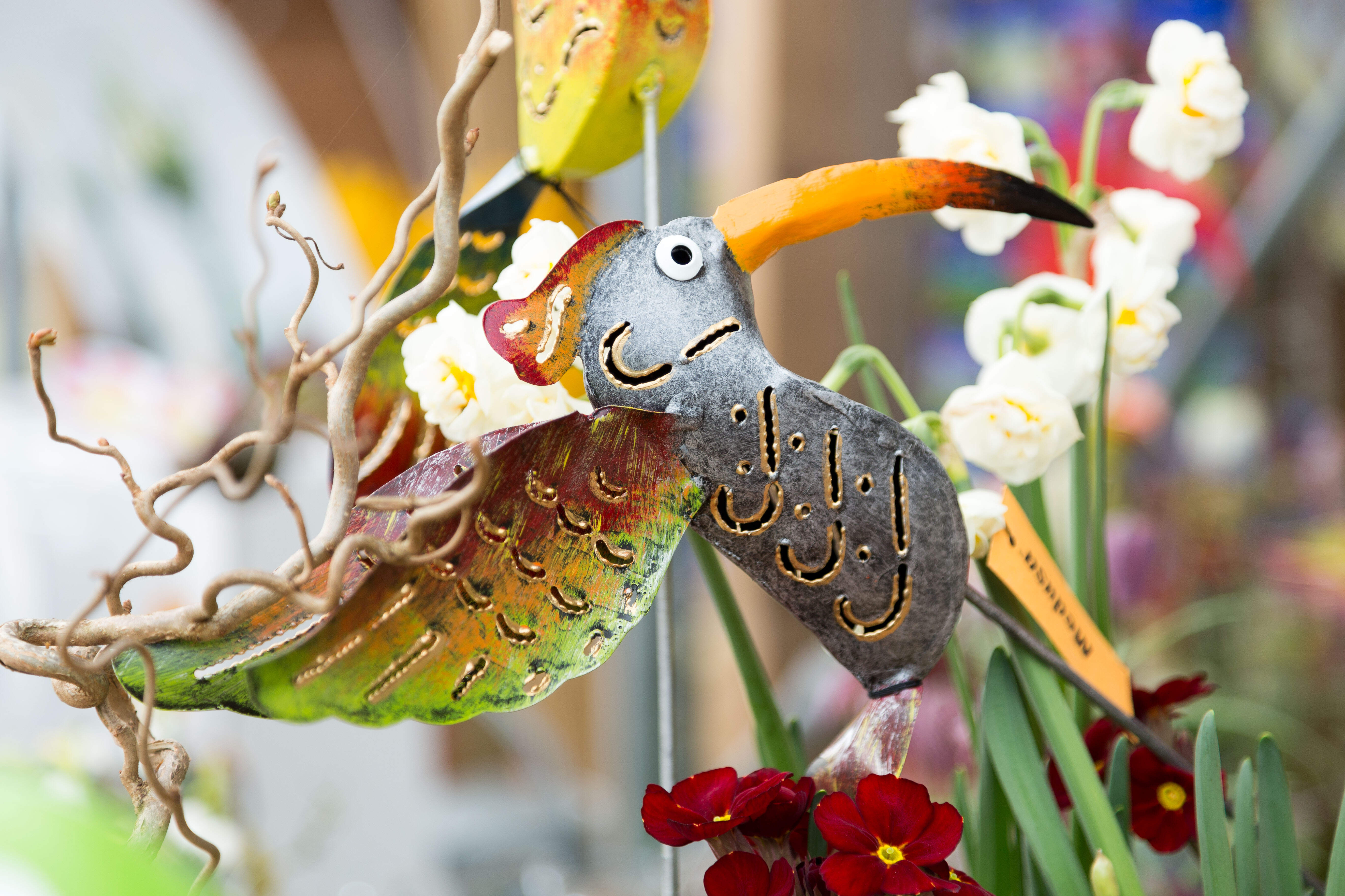 Blumen Eber Gundelfingen Birkenried