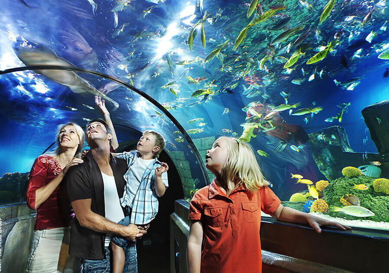 LEGOLAND® Deutschland Resort Günzburg