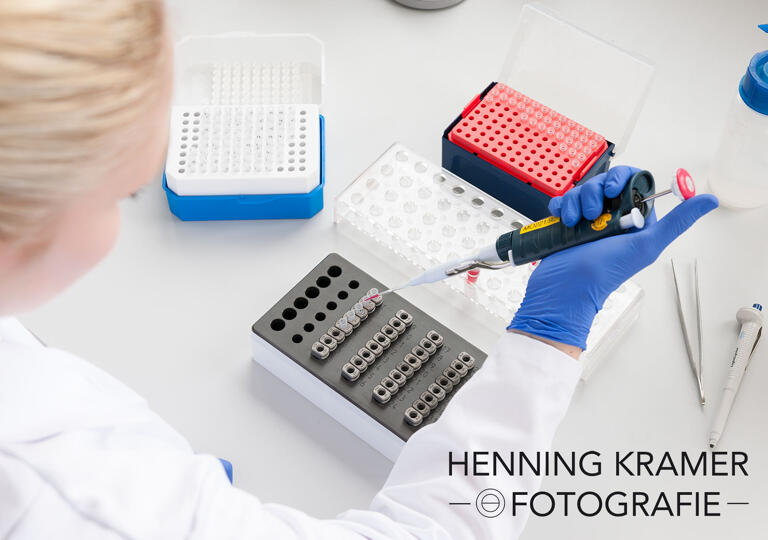 Henning Kramer Fotografie Wolfenbüttel