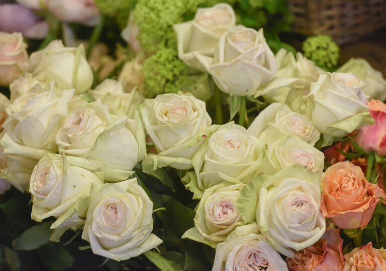 Carpe Diem Floristik Wuppertal