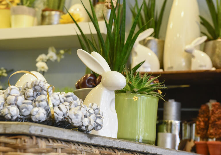 Carpe Diem Floristik Wuppertal