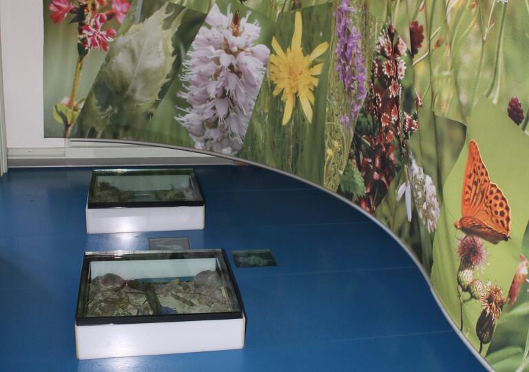 Tourist-Info Murrhardt