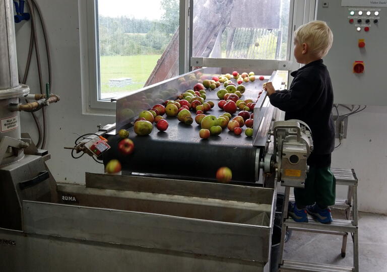 Mosterei Wurst Murrhardt