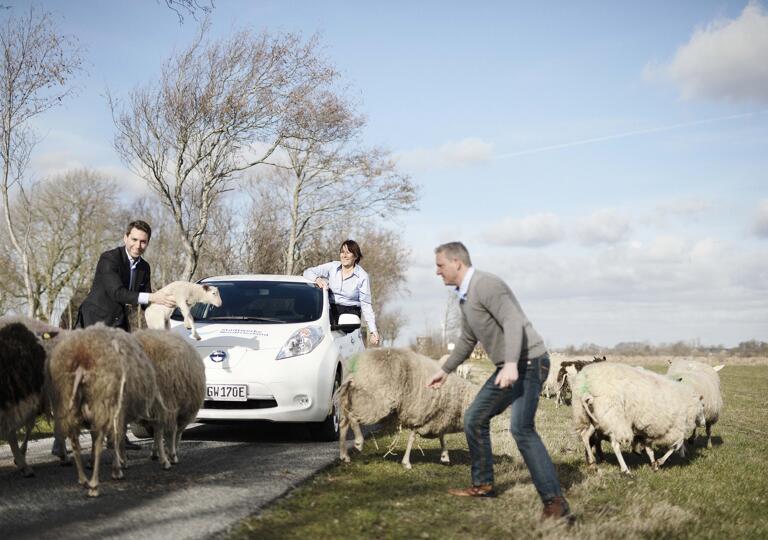 Stadtwerke Nordfriesland GmbH Niebüll