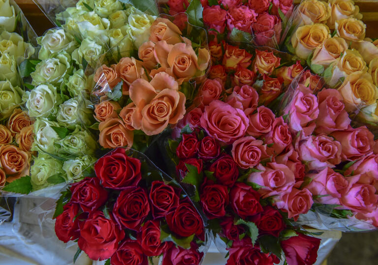 Yuka Blumen Wuppertal