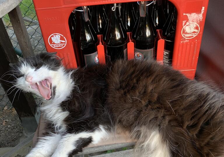 Getränke Quelle Hilgers Monheim am Rhein