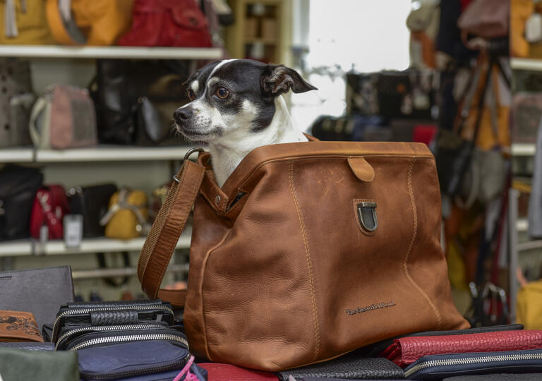 MST Frieling - Hüte - Koffer - Schmuck - Taschen Wuppertal