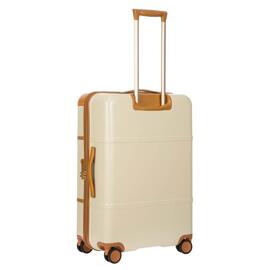 Trolley Trolley BRICS