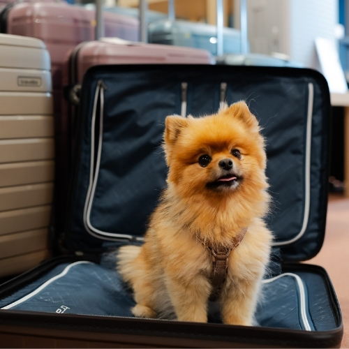 Homepage Quadrat Bilder (2).jpg