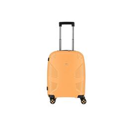 Koffer und Reisetaschen Impackt