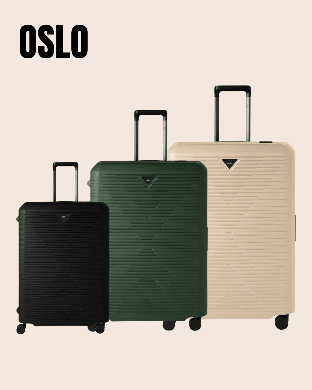 LARVIK.png