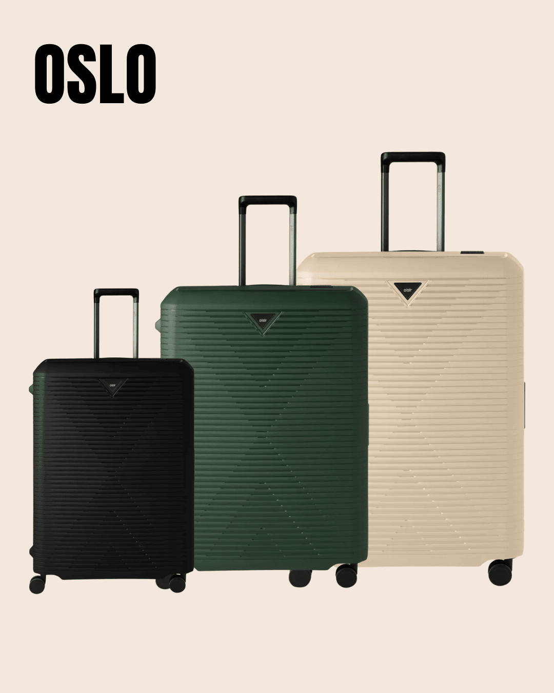 LARVIK.png