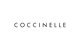 coccinelle Logo