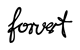 Forvert