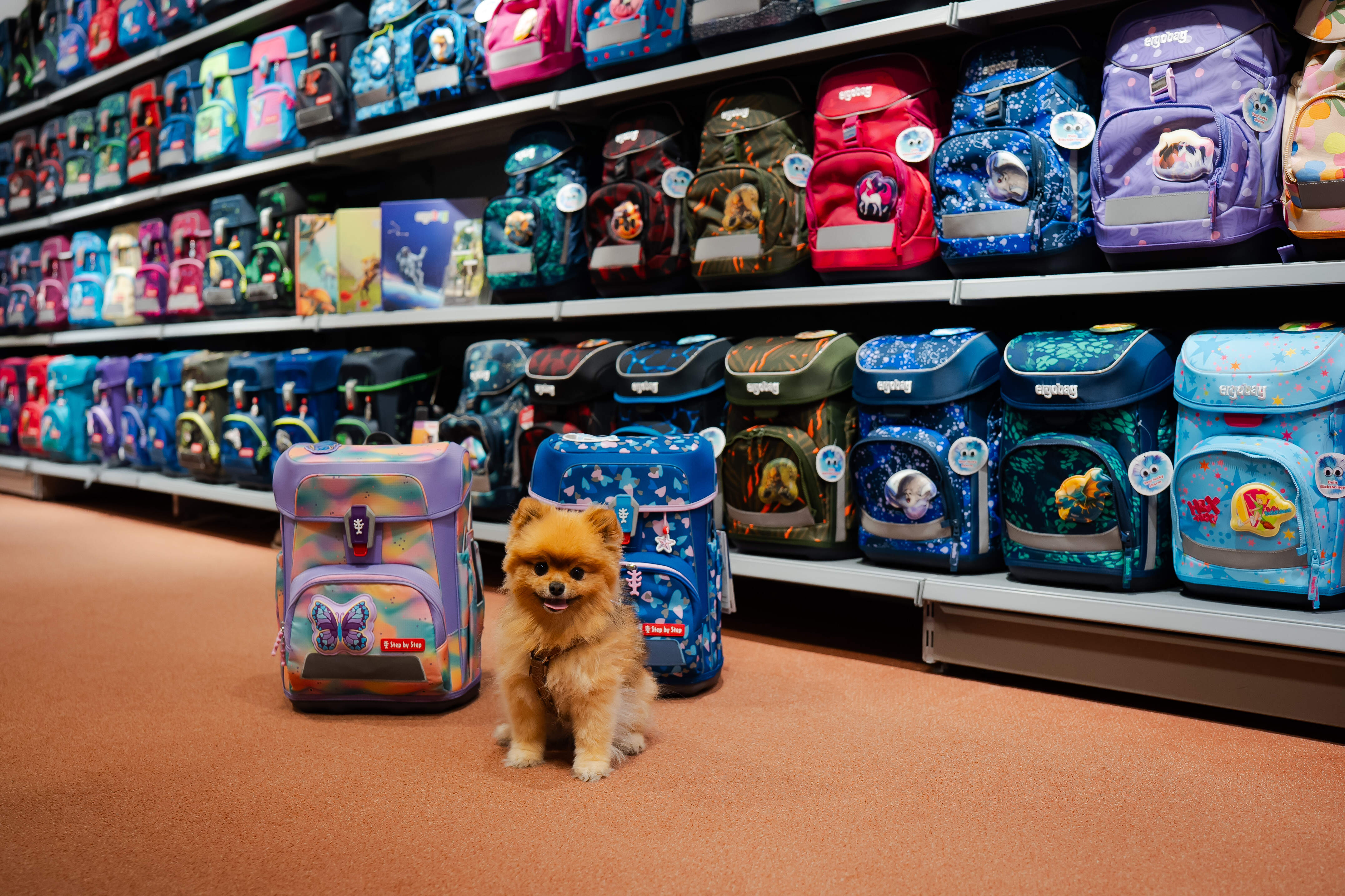 Daniel PBS Online Balingen