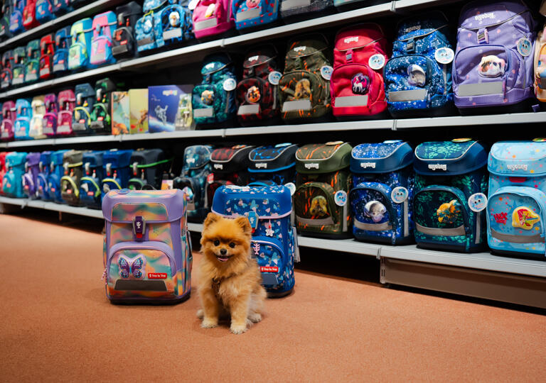 Daniel PBS Online Balingen