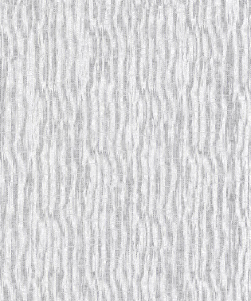 Erfurt non-woven wallpaper Ready 302 white 10.05 x 0.53 m