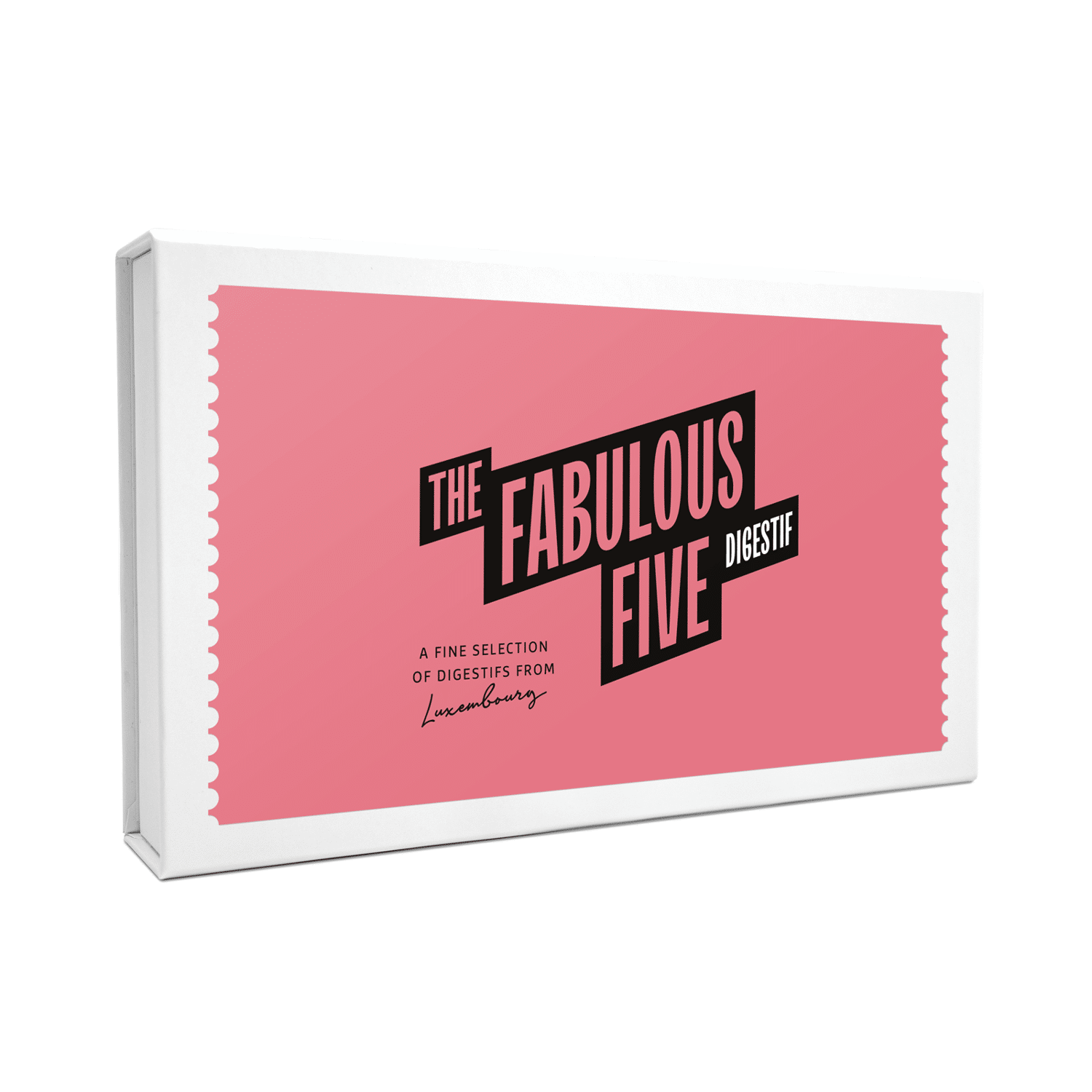 The Fab 5: The Scrapbook of a Revolution: Harshe, Hannah, Smith, M Earl:  9781634992008: Books 
