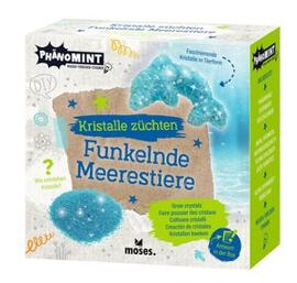 Toys & Games moses. Verlag GmbH Kempen