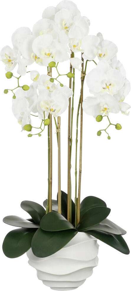 Mica Phalaenopsis en pot, polyester blanc, 82 cm de haut