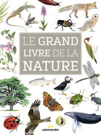 Books Books on animals and nature LA SALAMANDRE