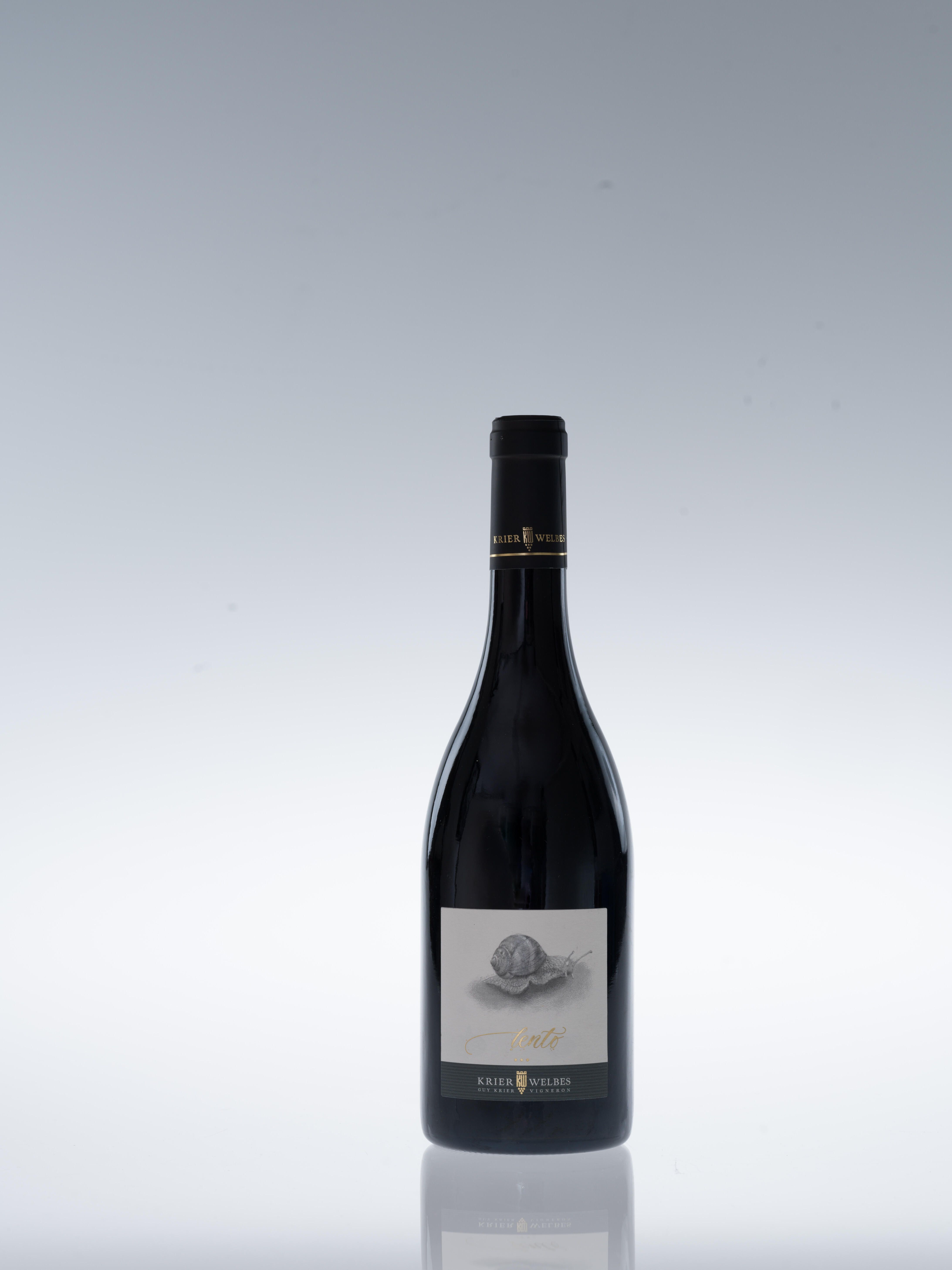 Lento 2023 Cuvée rouge, St Laurent - Pinot Noir - Cabaret Noir