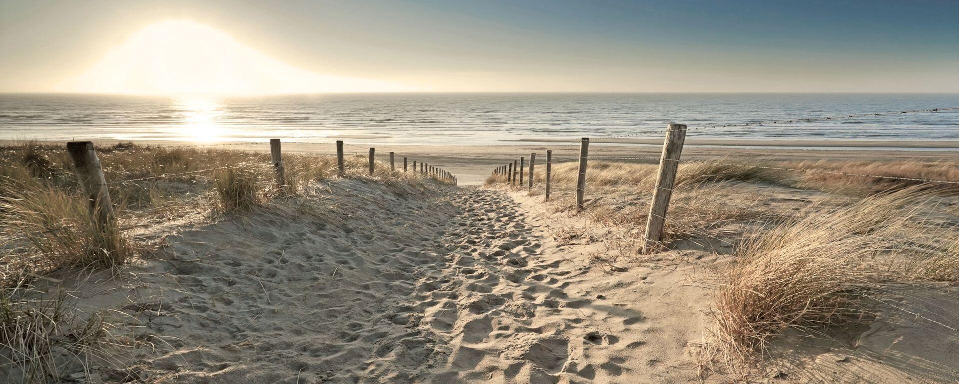 Deco-Glass Picture - Medow Beaches 125 x 50 cm