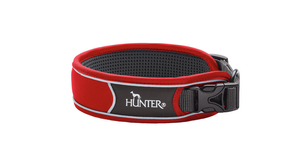 Hunter dog collar top