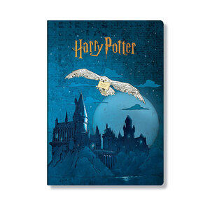 CBD6567: Cahiers Harry Potter - A4 Cahier Évasion à Poudlard QUADRILLAGE 80 p.