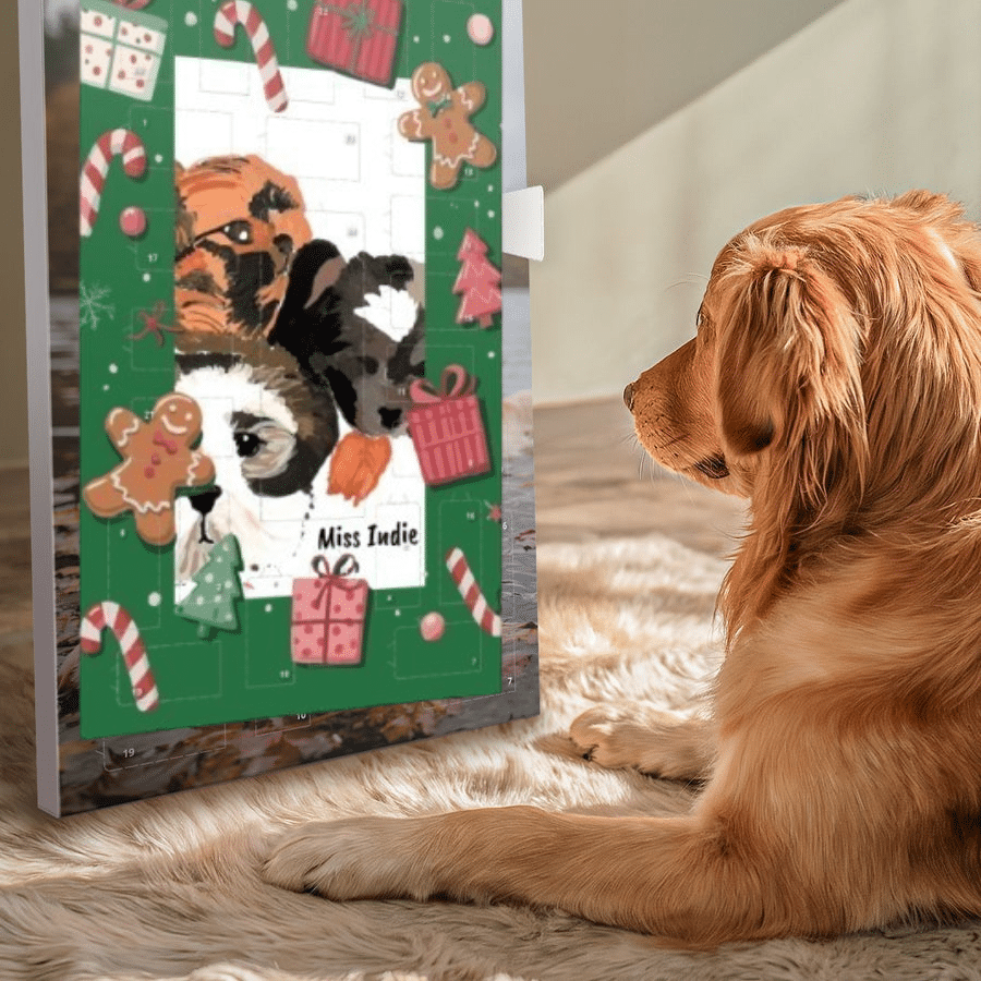 Pedigree Advent Calendar for your fluffy friend