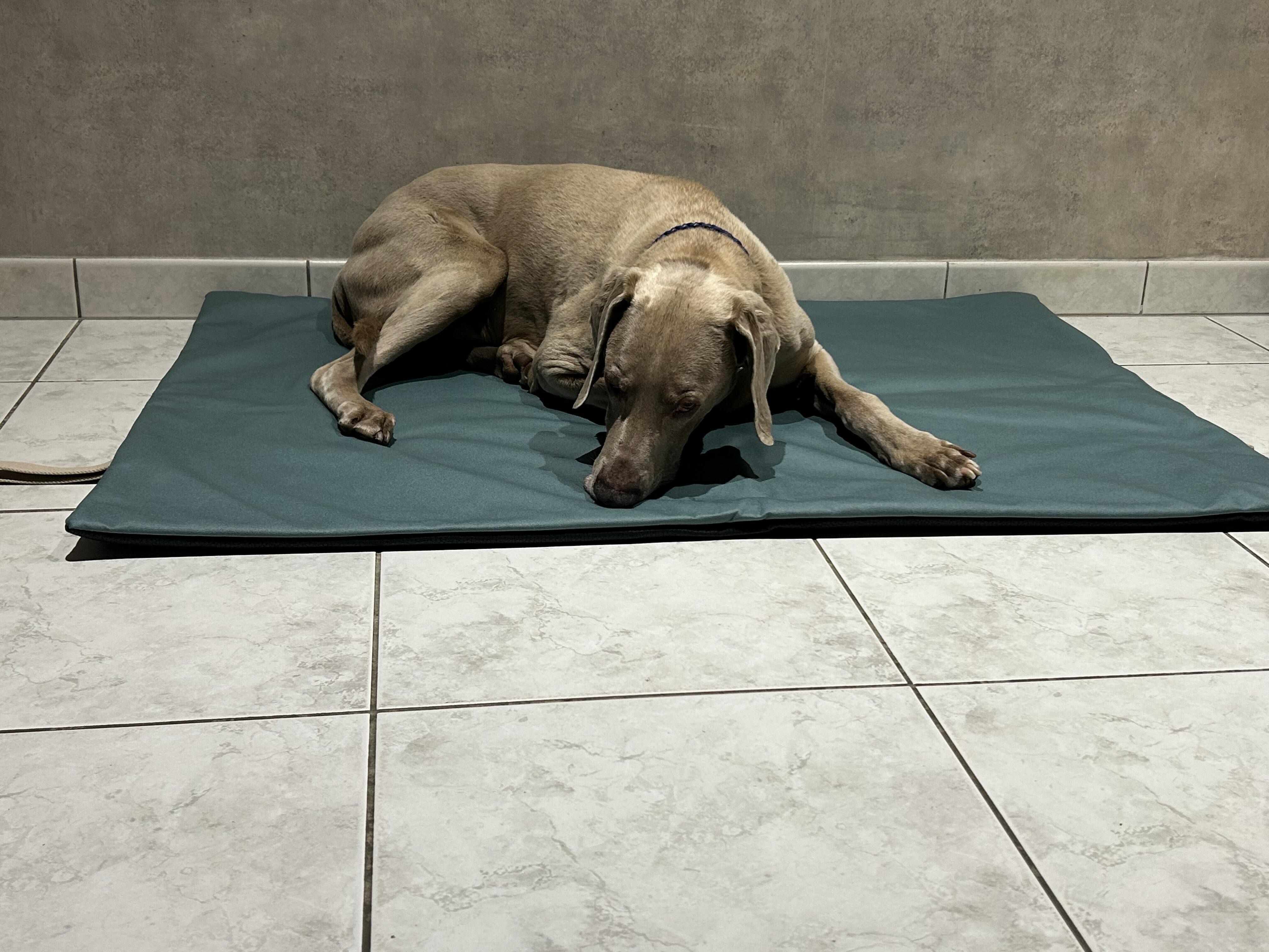  Wanderdecke, Decke für unterwegs