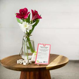 Cailloux de table et matériaux de remplissage pour vases Filtres à eau Les Verts Moutons