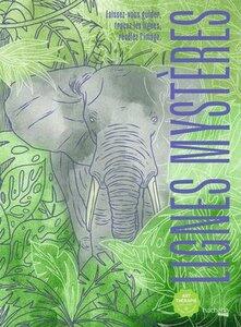 Delart Simon: Lignes mysteres