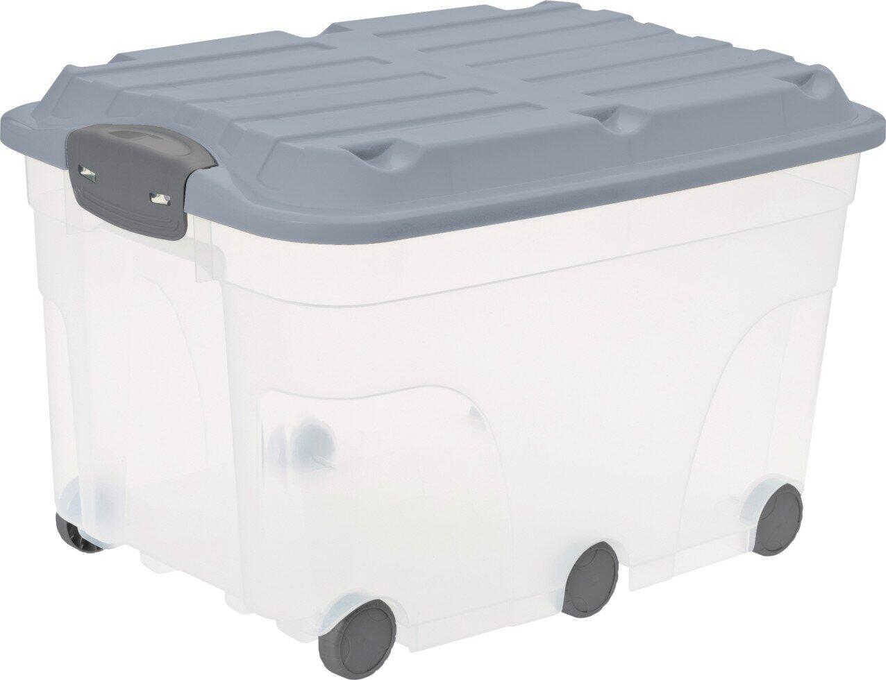 Rotho boîte de rangement avec couvercle, 59,5 x 40 x 37 cm, bleu brumeux