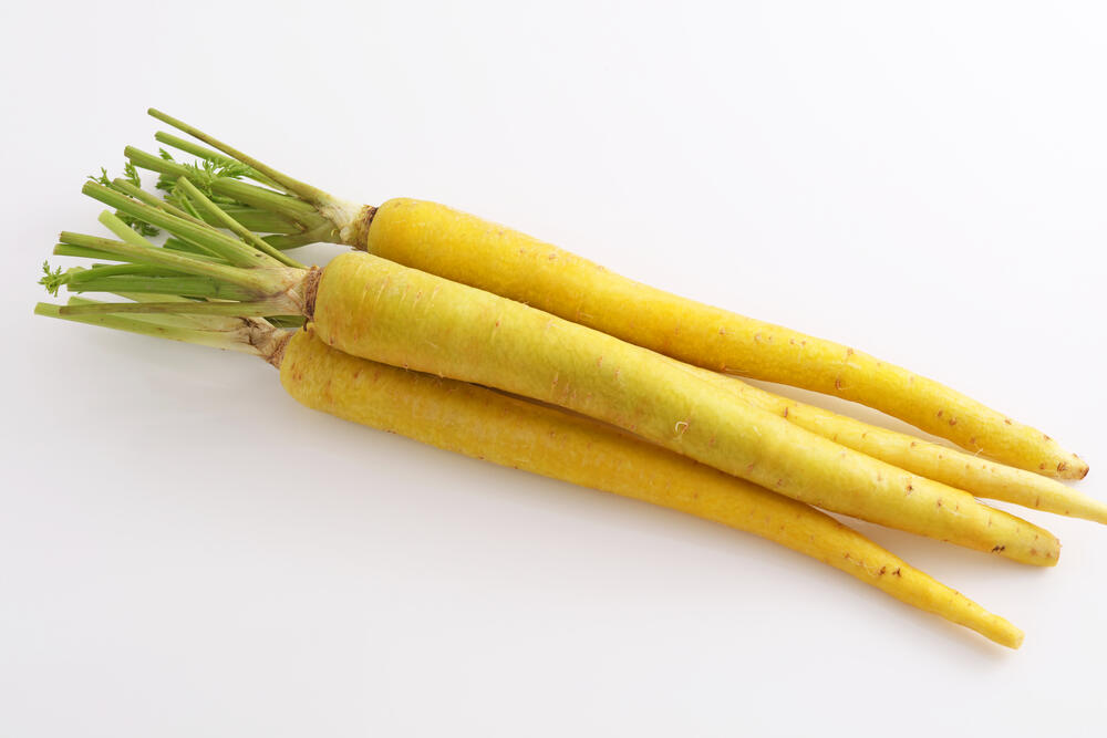 Gemüse Karotte weiss