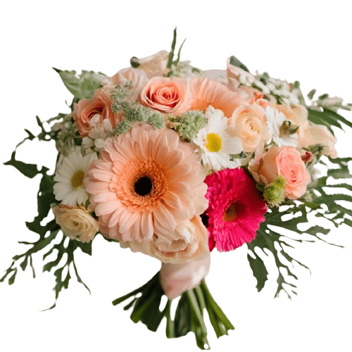 Pure Love: English roses and mini gerberas for Mother's Day
