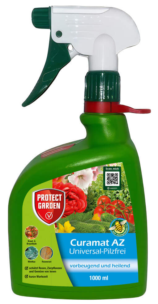 bertopf zimmerpflanze gro Bogenhanf 'Futura Superba' im weien ELHO-bertopf - Sansevieria futura  superba