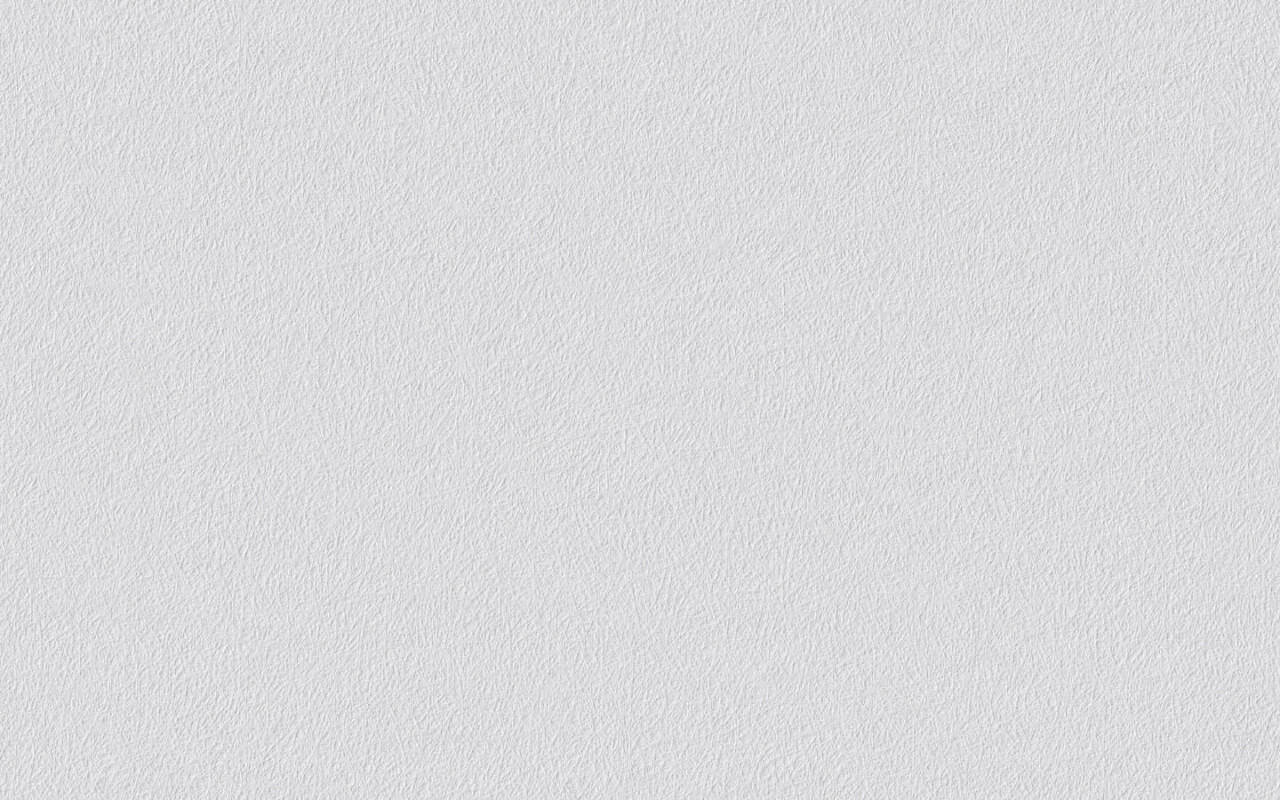 Erfurt non-woven wallpaper Basic 102 white 10.05 x 0.53 m