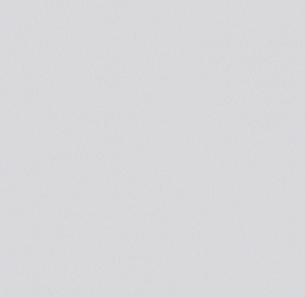 Erfurt non-woven wallpaper Basic 105 white 10.05 x 0.53 m