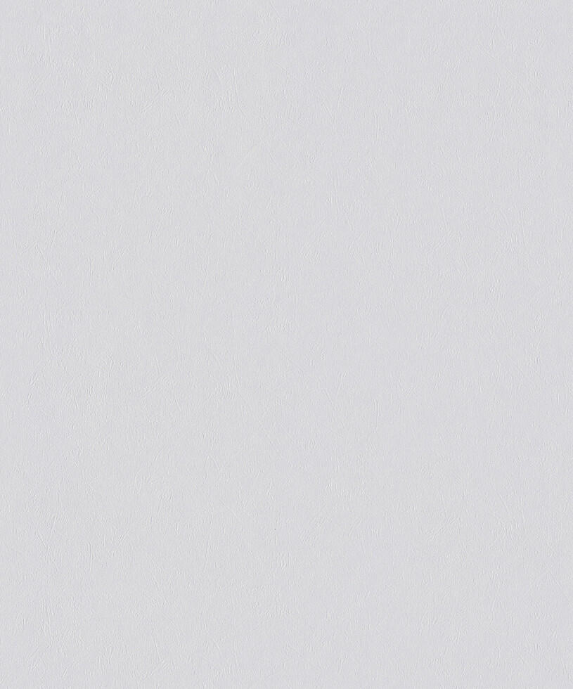 Erfurt non-woven wallpaper Ready 303 white 10.05 x 0.53 m